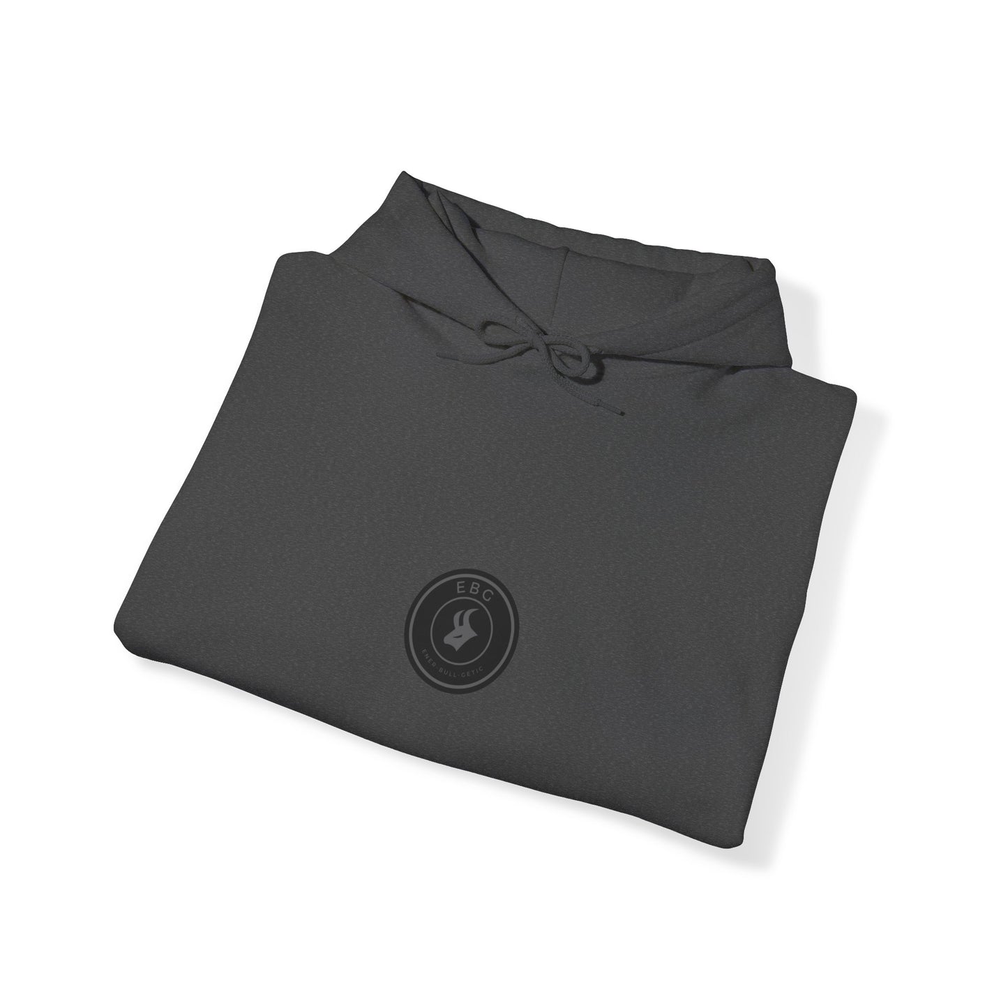 Circle Crest Heavy Blend™ Hoodie