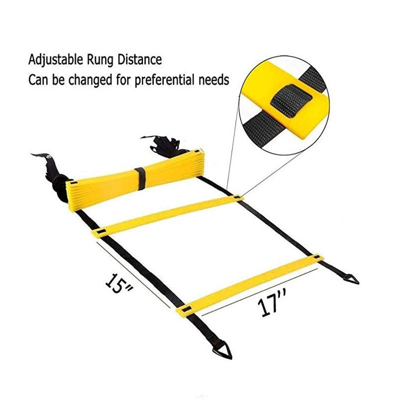 Agile Ladder